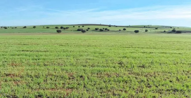 "Puede dañar la salud humana": un estudio científico confirma el "impacto dramático" de las tierras raras sobre la salud