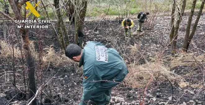 Detenido un joven de 20 años como autor de un incendio que afectó a 199 hectáreas en Vega de Pas