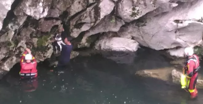 Rescatados un hombre y su perro tras caer al río en Puente Viesgo