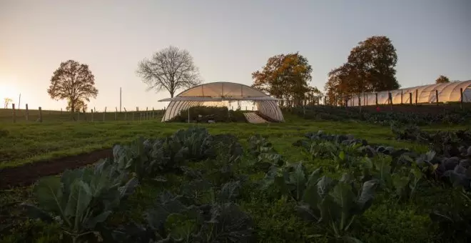 El Banco de Tierras ofrece cien hectáreas para emprender en el campo asturiano