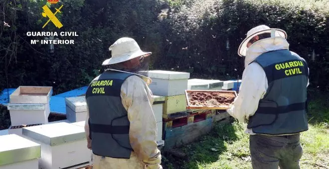 Localizados los dos autores del hurto de 13 colmenas de abejas en Ribamontán al Monte