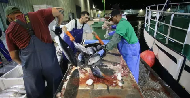 Los pescadores lamentan el "mal" precio del bonito tras consumirse casi el 20% de la cuota