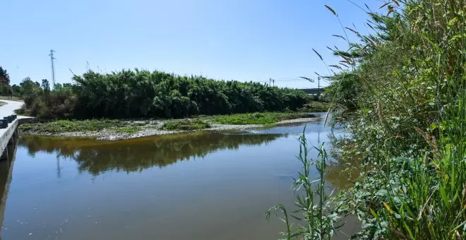 L'àmbit metropolità del riu Llobregat té més de 2.500 espècies de flora i fauna, de les quals 336 protegides