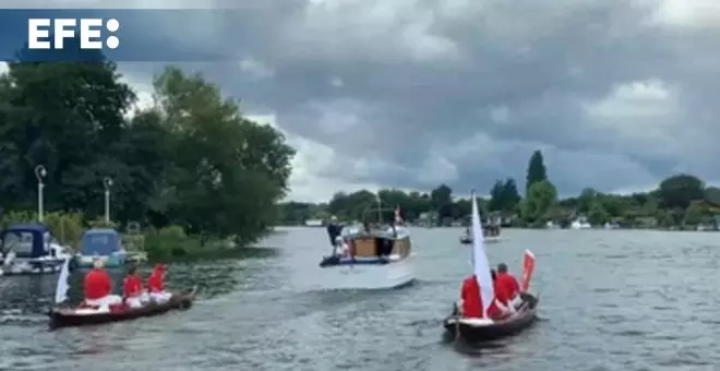 Las inundaciones dejan huella en el recuento anual de los cisnes del río Támesis