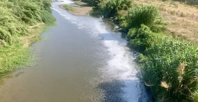 L'incendi de Polinyà provoca un vessament tòxic al Besòs amb mortaldat de peixos