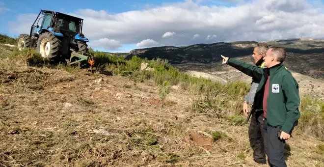 Cómo crear paisajes menos inflamables frente a incendios forestales extremos  