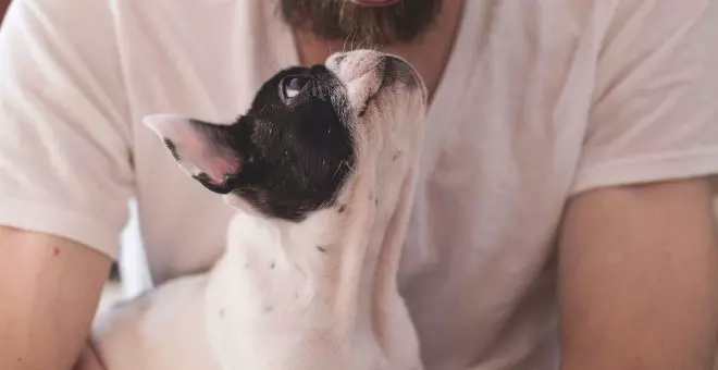 "Yo jamás podría comerme a un perro"