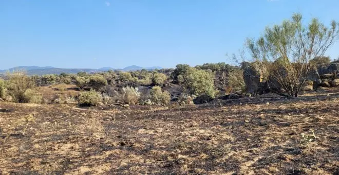 Tras tres días de lucha contra el fuego se da por controlado el incendio de La Estrella