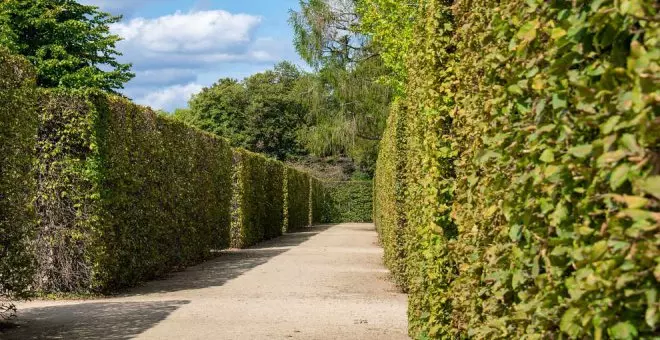 Abre sus puertas en Entrambasaguas uno de los laberintos naturales más grandes de España