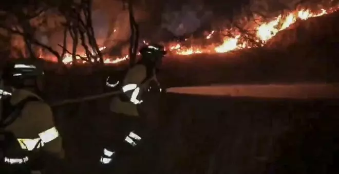 Estabilizado el incendio de Andújar (Jaén), que ha arrasado más de 700 hectáreas