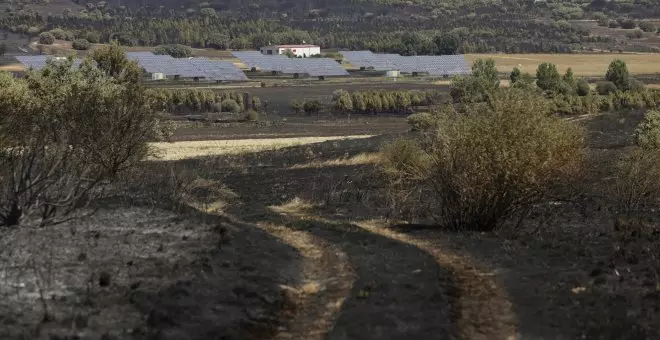 Detenido un peregrino en el Camino de Santiago como presunto autor del incendio forestal de Astorga (León)