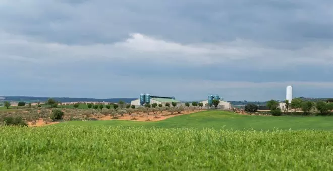 Agricultores y ganaderos se oponen a la gestión de purines propuesta por la Junta al tocar a su fin la moratoria al porcino