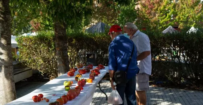 La organización de la Feria del Tomate Antiguo ofreció a PP y Vox al menos cuatro veces la cesión de la marca para mantener la feria en Bezana