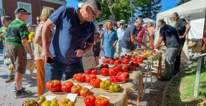 La Feria Nacional del Tomate Antiguo celebrada Polanco tiene al Mejor Tomate de España