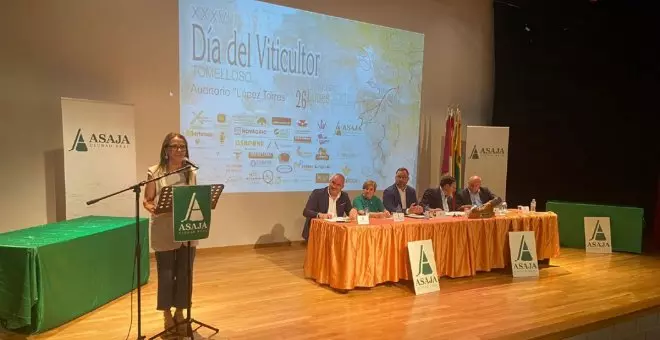 Primer semestre de récord para las exportaciones de vino de Castilla-La Mancha con 386 millones de facturación