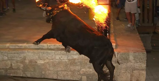 Colectivos animalistas denuncian el maltrato a un toro en las fiestas de Sollana