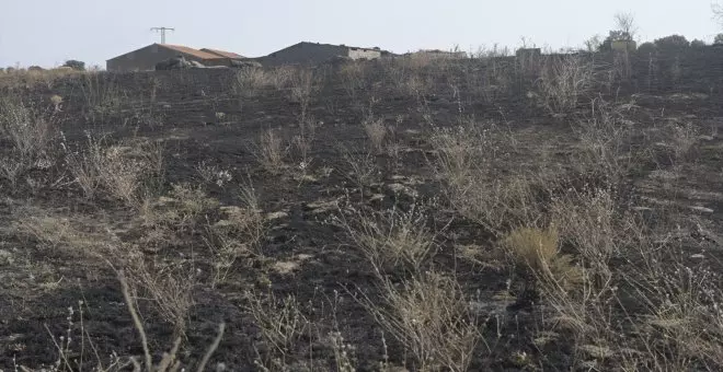 Ávila registra el tercer incendio forestal grave en 24 horas