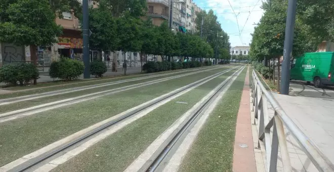 Granada instala ocho hectáreas de césped artificial pese al intenso calor que genera y el alto riesgo de contaminación