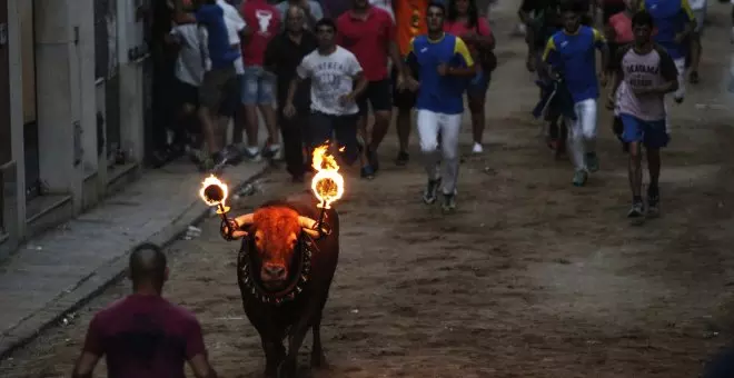 Golpes de calor, ahogamientos y descargas eléctricas: los toros sufren un verano más la barbarie de las fiestas patronales