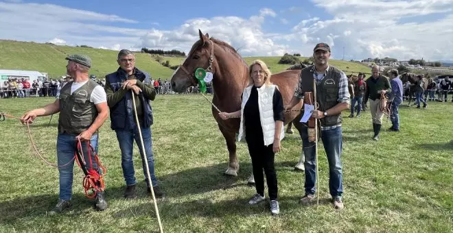 San Mateo llega con la habitual feria de ganado vacuno y caballar, con más de 50 ejemplares