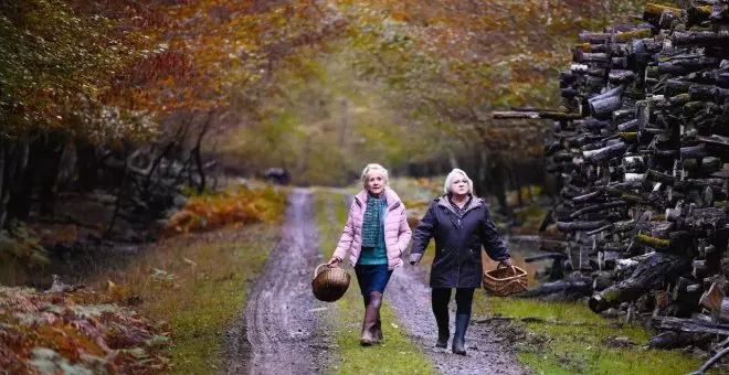 'Cuando cae el otoño': el nuevo drama humano de Ozon