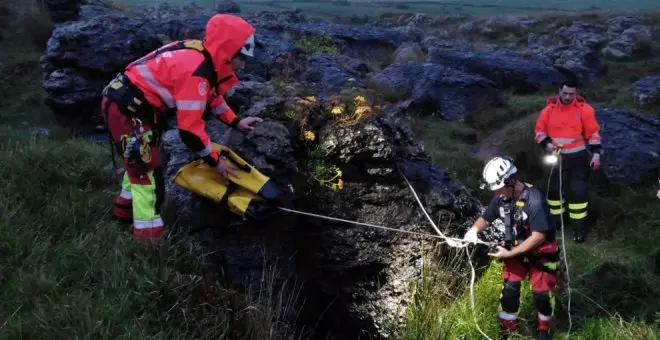 Bomberos rescatan a un perro caído en una torca de tres metros y medio de profundidad