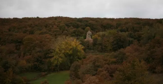 La Plataforma en Defensa del Sur de Cantabria acusa al alcalde de Valdeprado del Río de "malversar el patrimonio forestal" al impulsar un contrato de aprovechamiento forestal