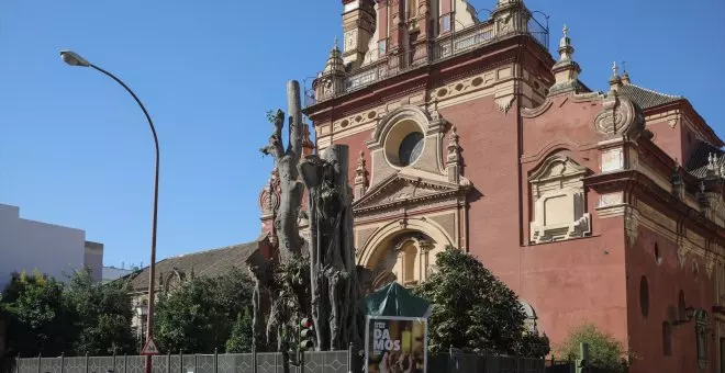 La historia del árbol que se convirtió en objeto de lucha vecinal en Sevilla