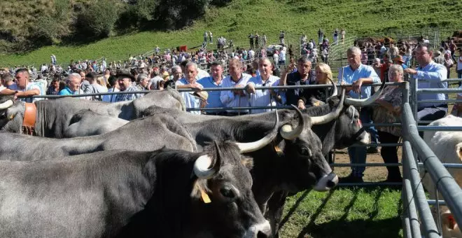 Celebrada la LIII edición de la Feria y Exposición de Ganado por las fiestas de San Miguel