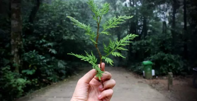 Cómo las prácticas ecológicas están moldeando el futuro de la aventura