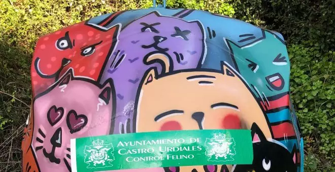 El Ayuntamiento recibe una subvención estatal de 80.000 euros para el control de colonias felinas