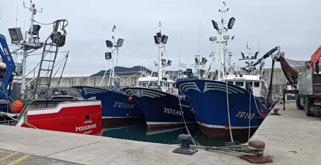 Las costeras del verdel, anchoa y bonito han vivido "un año difícil" en Cantabria