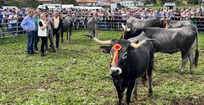 Miles de personas asisten a la Olimpiada del Tudanco para celebrar la 'Pasá'