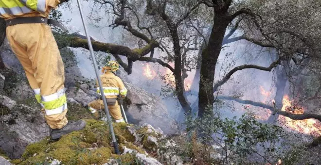 El incendio que se produjo entre Arredondo y Soba en enero es el mayor de España en lo que va de año