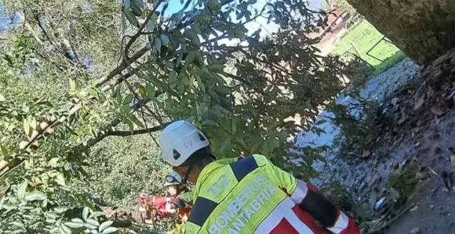 Cae un árbol sobre un tendido eléctrico en Cabuérniga