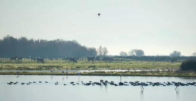 La familia Campos Peña, condenada por el expolio de agua en Doñana, se libra de la cárcel al ver rebajada la pena