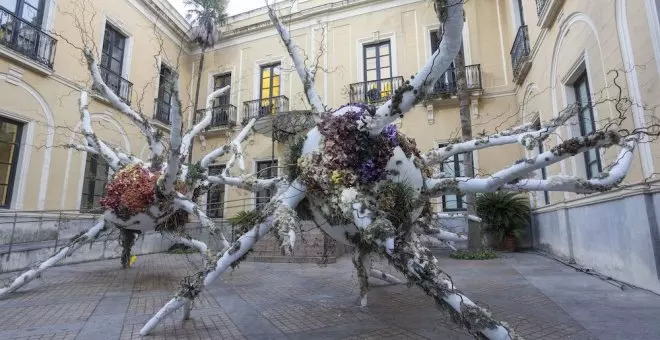 Un viaje allí donde plantas y artistas se unen para hablarnos