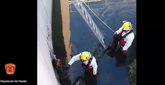 Rescate en una balsa de aguas residuales en un pueblo de Toledo: salvados dos perros que habían quedado atrapados