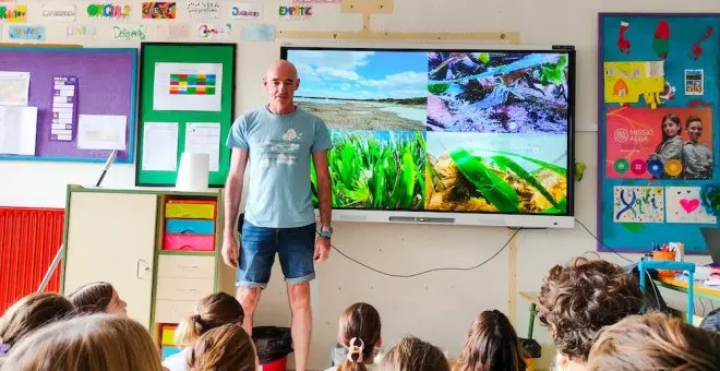 La posidonia sale del Mediterráneo ¡y se mete en los coles!