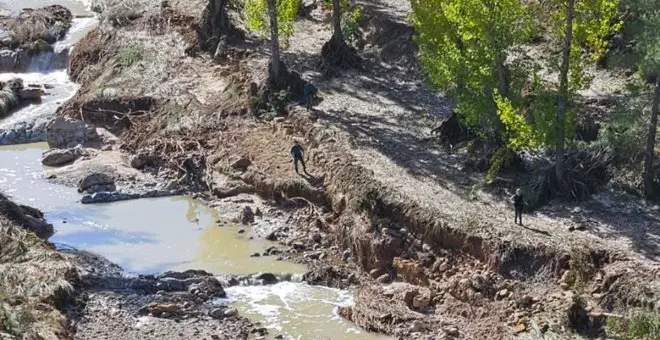 Dos unidades cinológicas de la UME se incorporan este viernes a las labores de búsqueda de desaparecidos en Letur