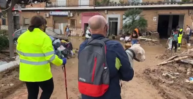 Cientos de animales afectados por la DANA de Valencia