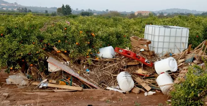 Estimen que la DANA ha afectat 25.500 hectàrees de cultiu assegurades i 10.000 agricultors i ramaders