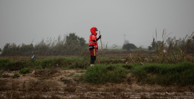 El campo de L'Albufera afronta un futuro incierto tras la DANA: "Todos los cultivos de huerta se han perdido completamente"