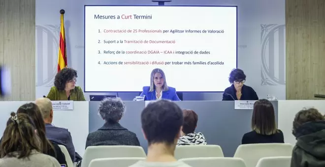 El Govern impulsa un pla per augmentar el nombre de famílies acollidores d'infants tutelats menors de sis anys