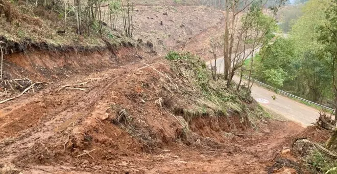 Denuncian talas indiscriminadas en el monte Naranco