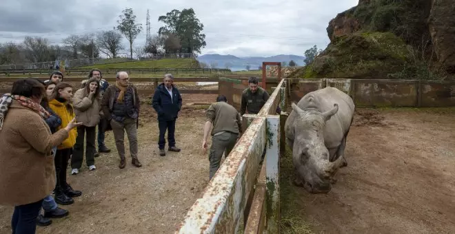 "El Gobierno sigue promoviendo la figura de Cabárceno como una zona de atracciones, como si cada animal fuera un cajero del que extraer el mayor beneficio económico"