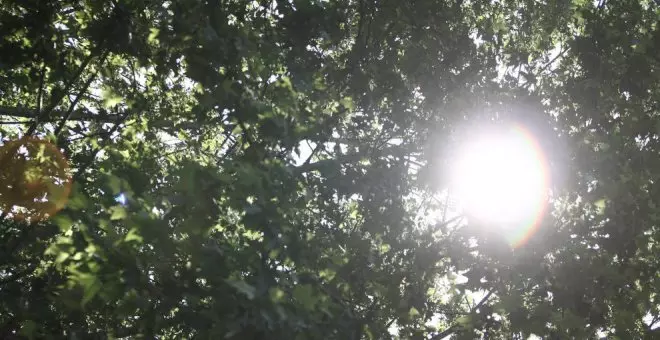 El fin de semana llega con subida de temperaturas y un comienzo de diciembre más cálido de lo habitual