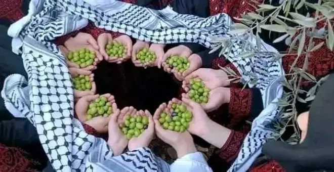 Olivos y naranjos de Palestina: los matan, como a sus dueños